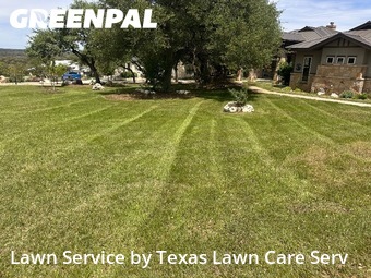 Grass Cut nearby New Braunfels, TX, 