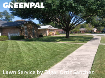 Lawn Care Servicein Richardson,75080,Lawn Mowing by Edgar Ortiz Sanchez, work completed in Jan , 2026