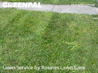 Lawn Maintenance nearby Indianapolis, IN, 
