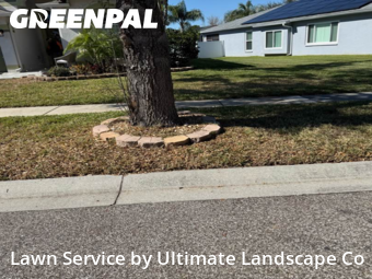Lawn mowed in Apollo Beach, 33572