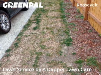 Lawn Cutting nearby Bellingham, WA, 