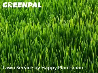 Property Maintenance in Washington Township, 45458, Lawn Maintenance by Happy Plantsman, work completed in Nov , 2025