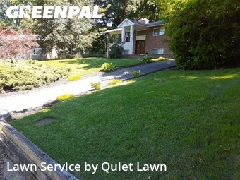 Yard Cutting in Annandale, 22003, Yard Care Services by Quickscape , work completed in Nov , 2025