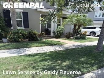 Lawn Mow nearby Tampa, FL, 
