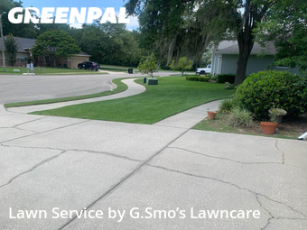 Grass Cut nearby Gainesville, FL, 