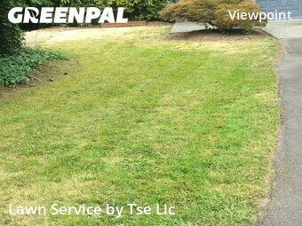 Grass Cut nearby Redmond, WA, 