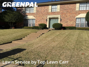 Lawn Maintenancein Grapevine,76051,Yard Cutting by Top Lawn Carr, work completed in Jan , 2026
