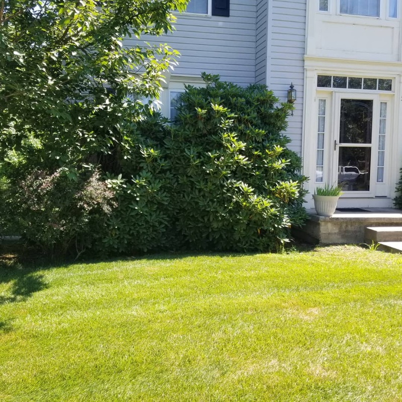 lawn-maintenance-in-Trenton-NJ