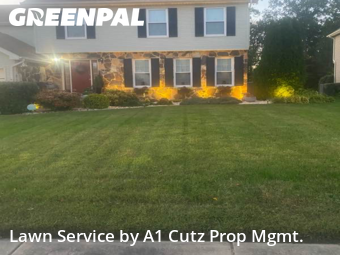 Lawn Upkeep in Dover, 19904, Yard Maintenance by A1 Cutz Prop Mgmt., work completed in Nov , 2025