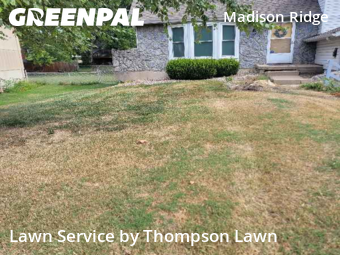 Grass Cuttingin Shawnee,66216,Lawn Cut by Thompson Lawn, work completed in Nov , 2025