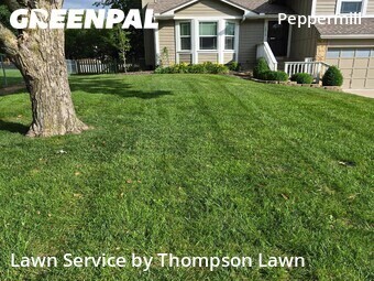 Yard Cuttingin Olathe,66062,Lawn Service by Thompson Lawn, work completed in Jun , 2026