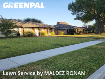Grass Cutting nearby Richardson, TX, 