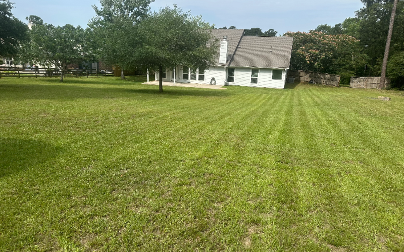 Work Image 1