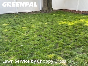 Lawn Cutting nearby North Bergen, NJ, 