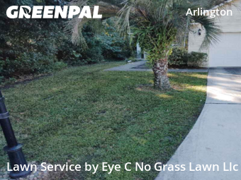 Grass Services in Jacksonville, 32211, Landscaping Maintenance by Eye C No Grass Lawn Llc, work completed in Nov , 2025