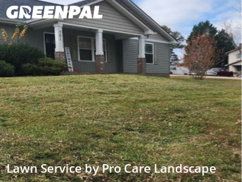 Grass Cutin Kannapolis,28081,Lawn Maintenance by Pro Care Landscape , work completed in Dec , 2025