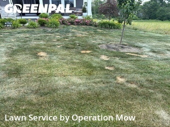 Grass Cut nearby Uniontown, OH, 