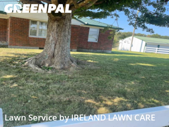 Lawn Care nearby Indian Mound, TN, 