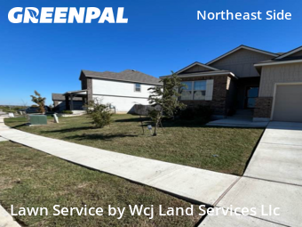 Yard Cuttingin Converse,78109,Lawn Mow by Wcj Land Services Llc, work completed in Feb , 2026