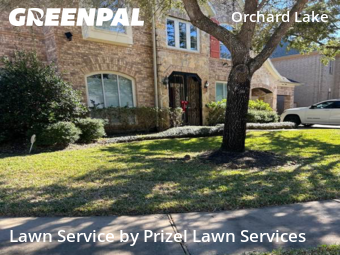Yard Cuttingin Sugar Land,77498,Lawn Cut by Prizel Lawn Services, work completed in Feb , 2026
