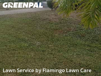 Mowing Services in Fort Myers, 33967, Yard Cutting by Flamingo Lawn Care, work completed in Dec , 2025