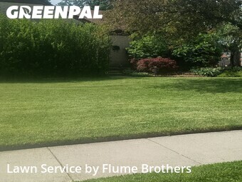 Lawn Care Service nearby Roseville, MI, 