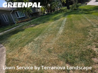 Yard Cutting in Lisle, 60532, Yard Mowing by Terranova Landscape, work completed in Nov , 2025