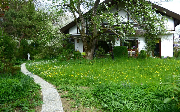 Work Image 1