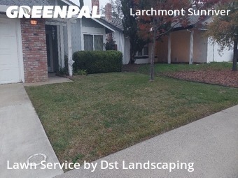 Yard Cutting in Rancho Cordova, 95670, Lawn Care Service by Dst Landscaping, work completed in  3 Dec, 2025 