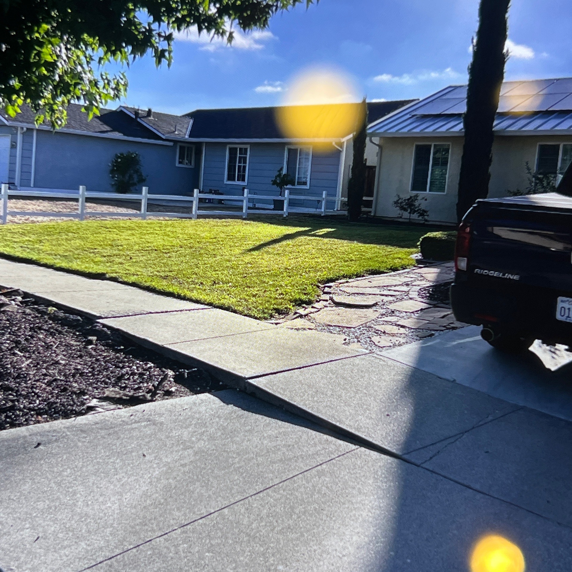 Lawn mowing work by Flor Property Servic in Fremont, CA