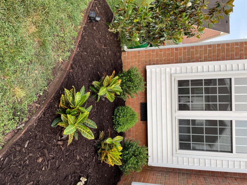 Rocco’s Lawncare Lawn Care Services in Murfreesboro, TN