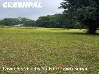 Lawn Maintenance nearby Jackson, GA, 