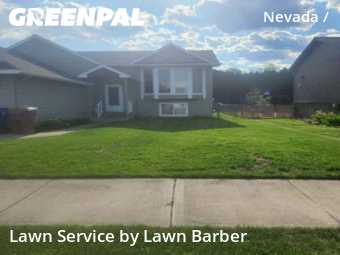 Grass Cut nearby Spokane, WA, 