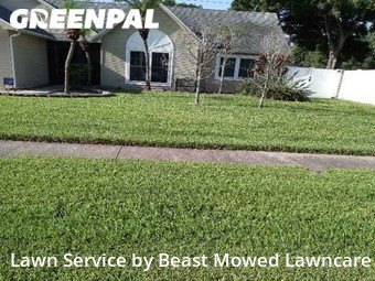 Lawn Care nearby Saint Petersburg, FL, 