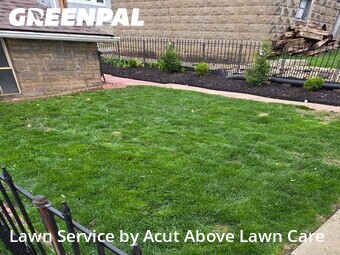 Lawn Cut nearby Pittsburgh, PA, 