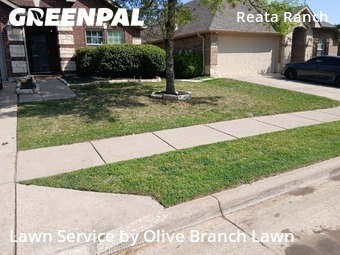 Grass Cut nearby Fort Worth, TX, 