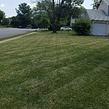 local-lawn-care-services-in-Arlington-VA