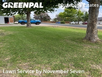 Lawn Cut nearby Pflugerville, TX, 