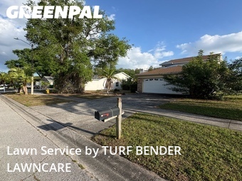 Lawn Service nearby Palm Harbor, FL, 