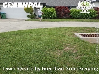 Lawn Cutting nearby Cape Coral, FL, 