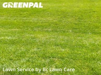 Lawn Care nearby Littleton, NC, 