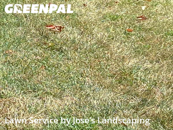 Yard Cutting nearby Woodbridge, VA, 