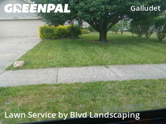 Lawn Cut nearby Indianapolis, IN, 