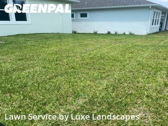 Lawn Mow nearby Winter Garden, FL, 
