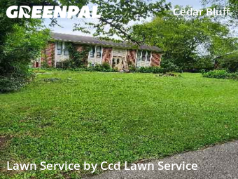 Grass Cut nearby Knoxville, NC, 