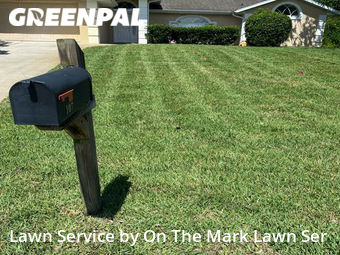 Lawn Maintenance nearby De Bary, FL, 