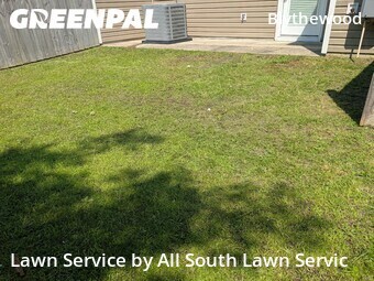 Yard Cutting nearby Columbia, SC, 