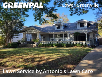 Landscaping Companies In Dallas,75206,Landscaping Maintenance by Antonio's Lawn Care, work completed in Dec , 2025