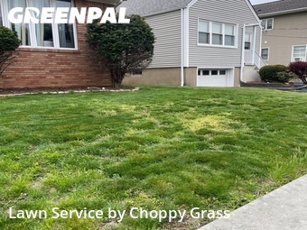Yard Cutting nearby Lodi, NJ, 