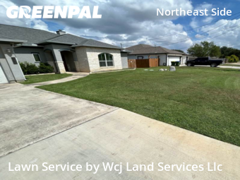 Lawn Services in Selma, 78154, Yard Care Services by Wcj Land Services Llc, work completed in Oct , 2025